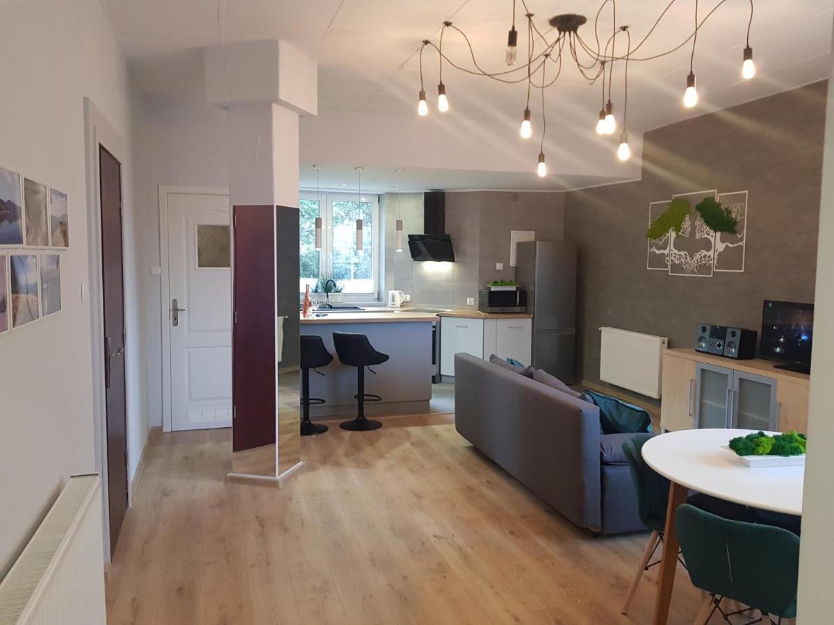 Apartamenty Paszkowka Pietrzykowice  外观 照片