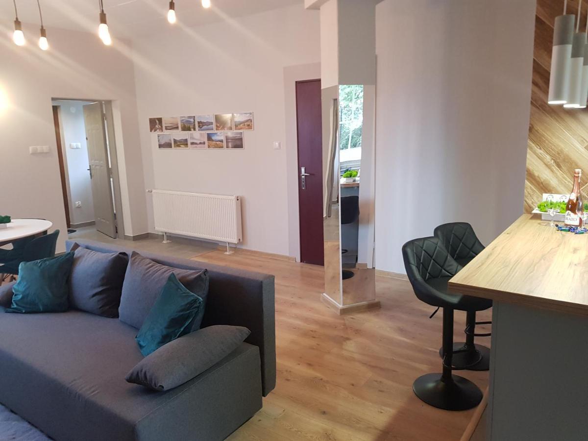 Apartamenty Paszkowka Pietrzykowice  外观 照片