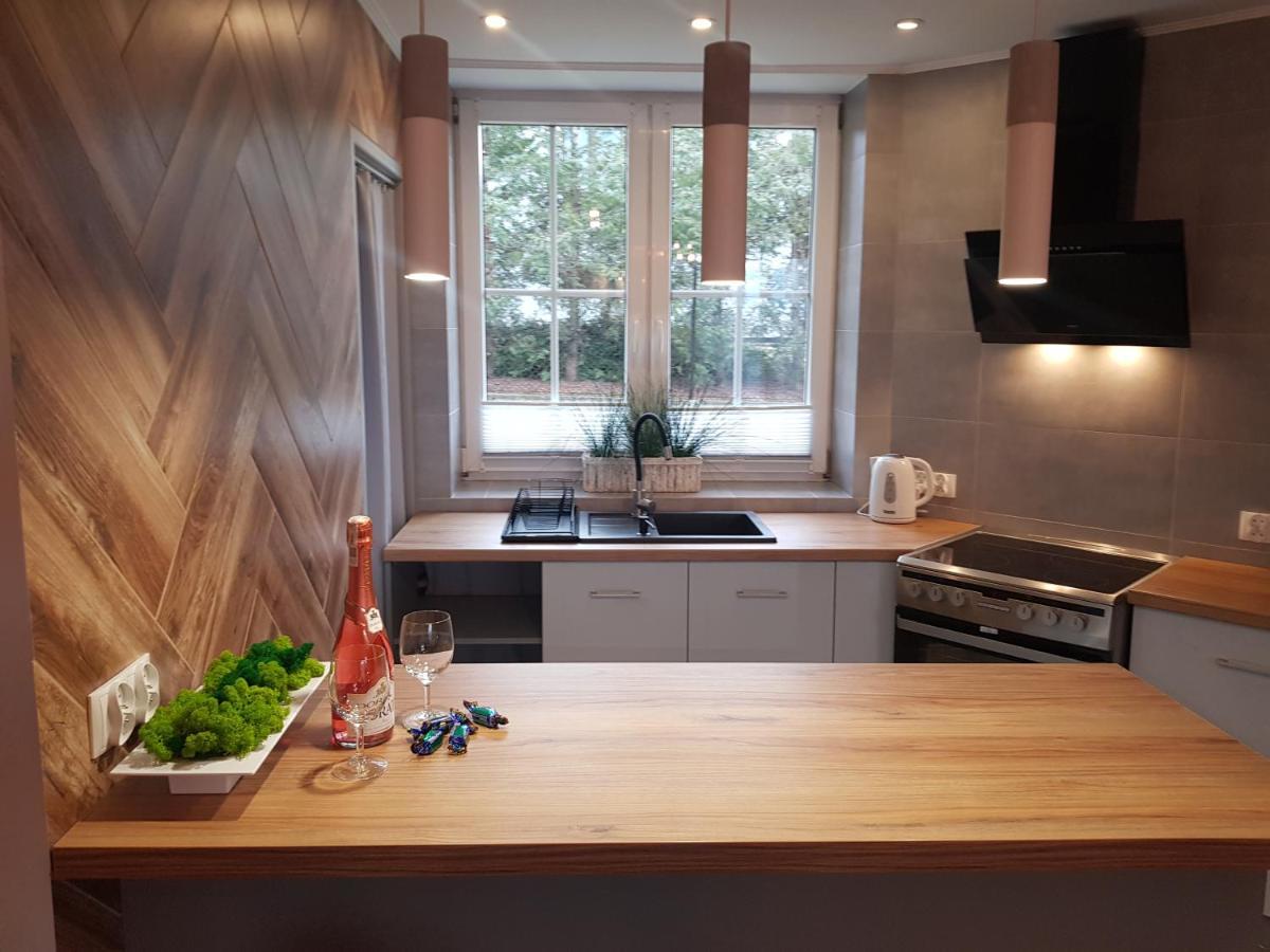 Apartamenty Paszkowka Pietrzykowice  外观 照片