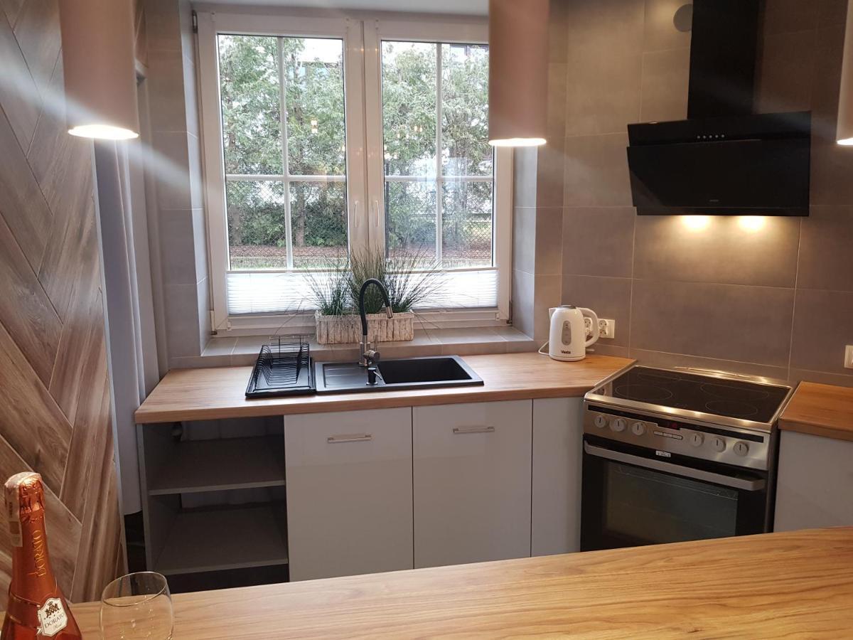 Apartamenty Paszkowka Pietrzykowice  外观 照片