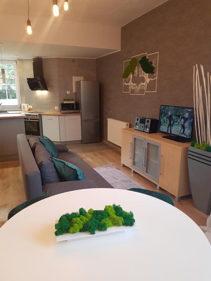 Apartamenty Paszkowka Pietrzykowice  外观 照片